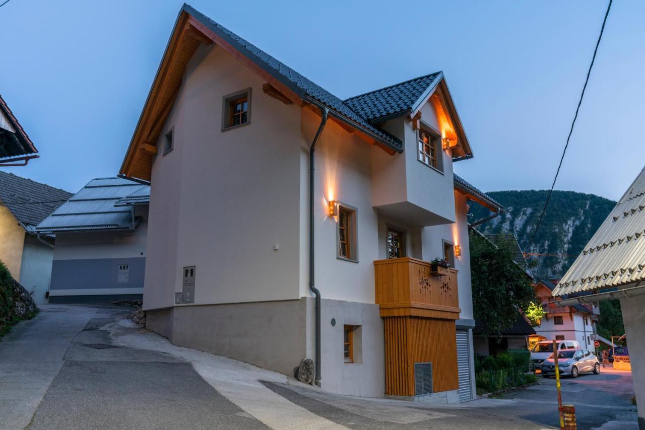Holiday House Zupanc ボーヒニ エクステリア 写真